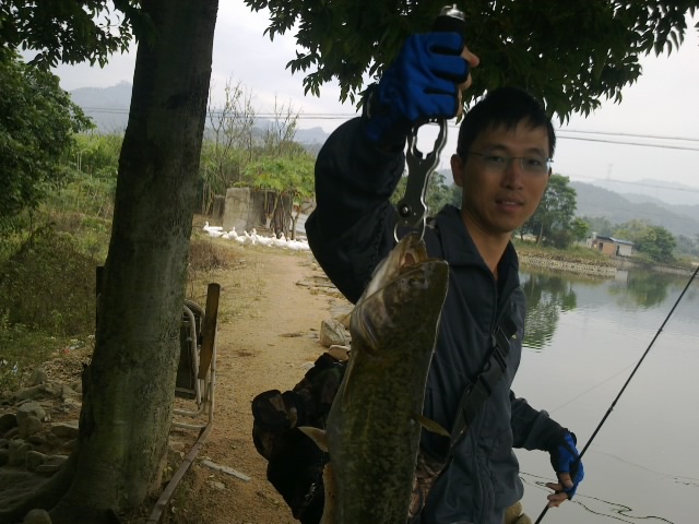 20111112318.jpg