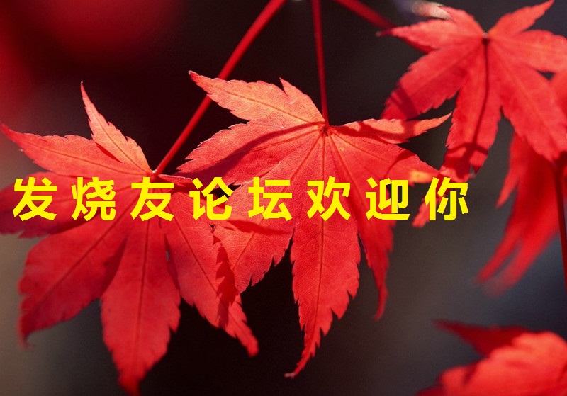 d74b600bdda5cf837acbe16a_.jpg