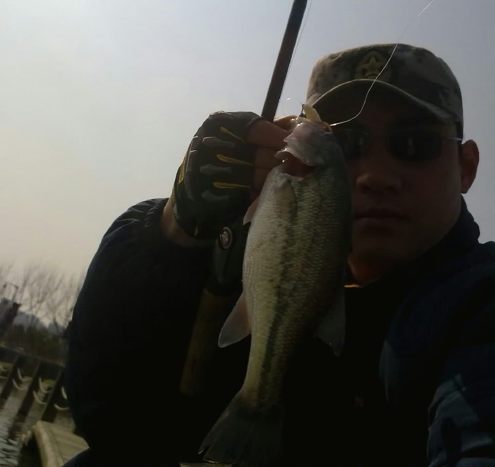 20120313739.jpg