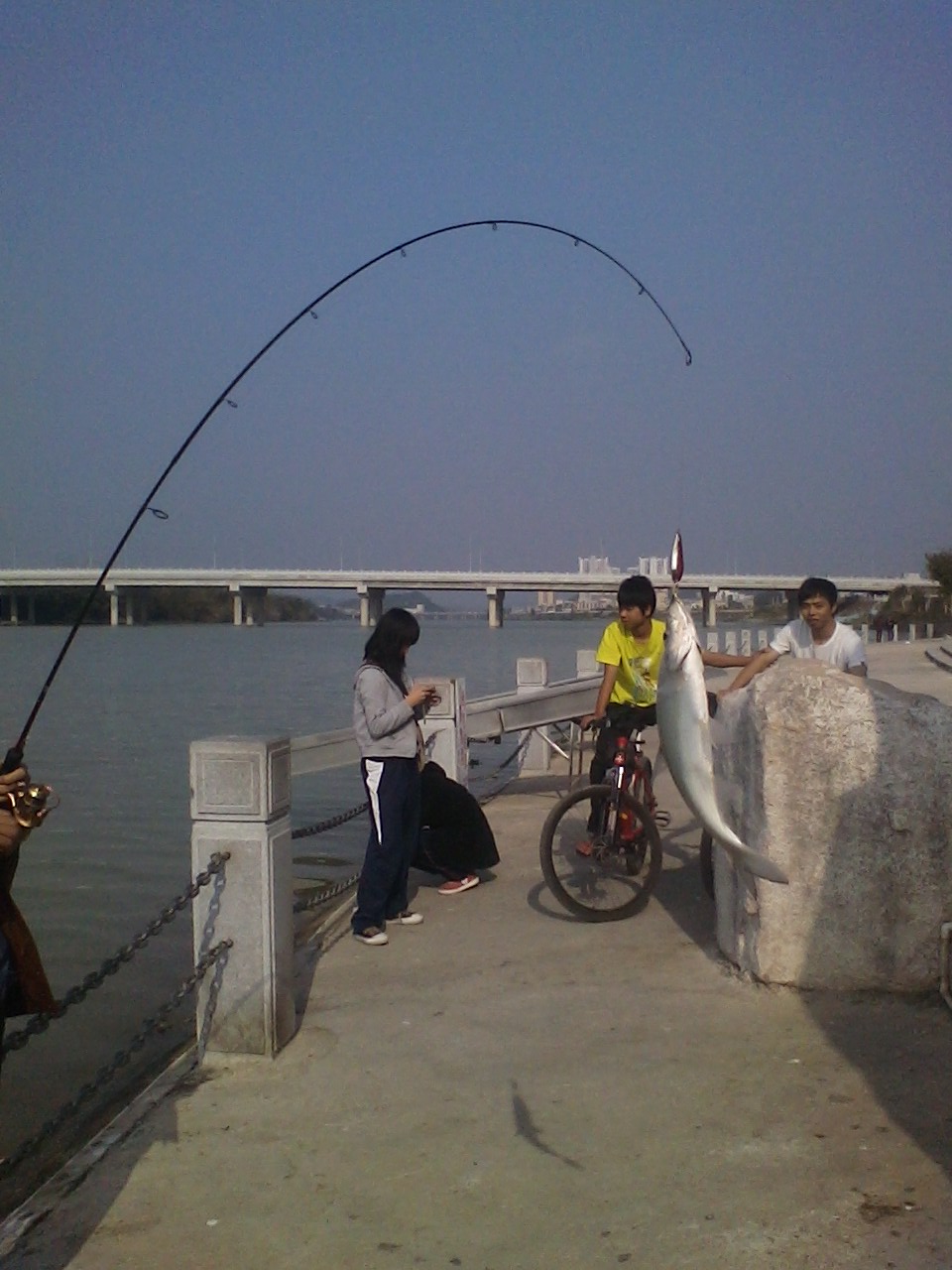 IMG0101145000.jpg