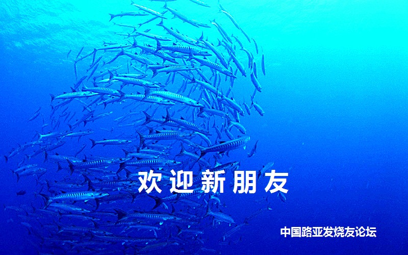 Fish_Sea_01_102_1440_.jpg