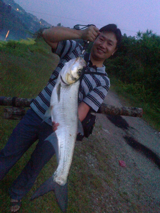 20110526178.jpg