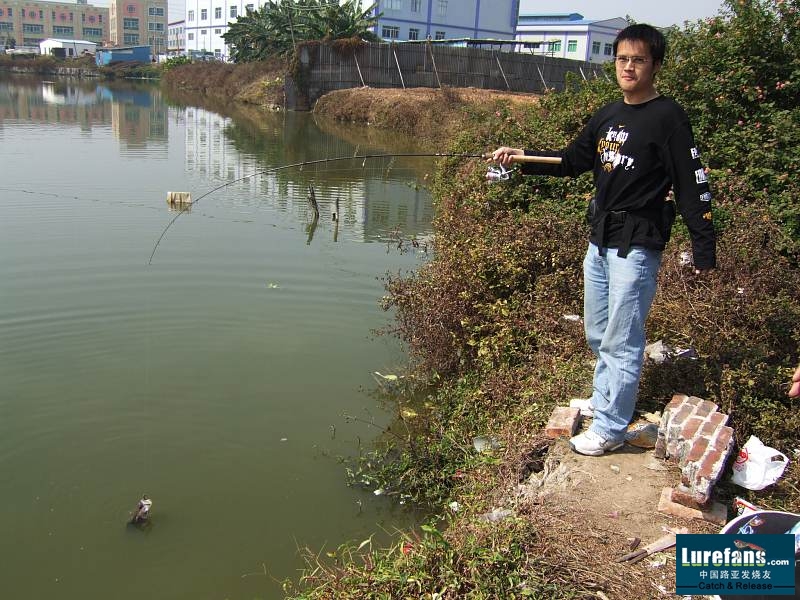 k.jpg