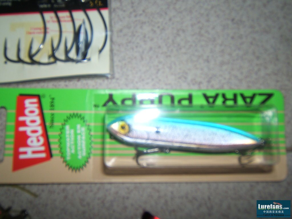 HEDDON ZARA PUPPY