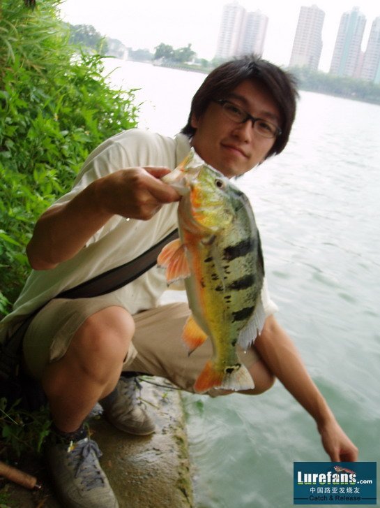 NICE FISH