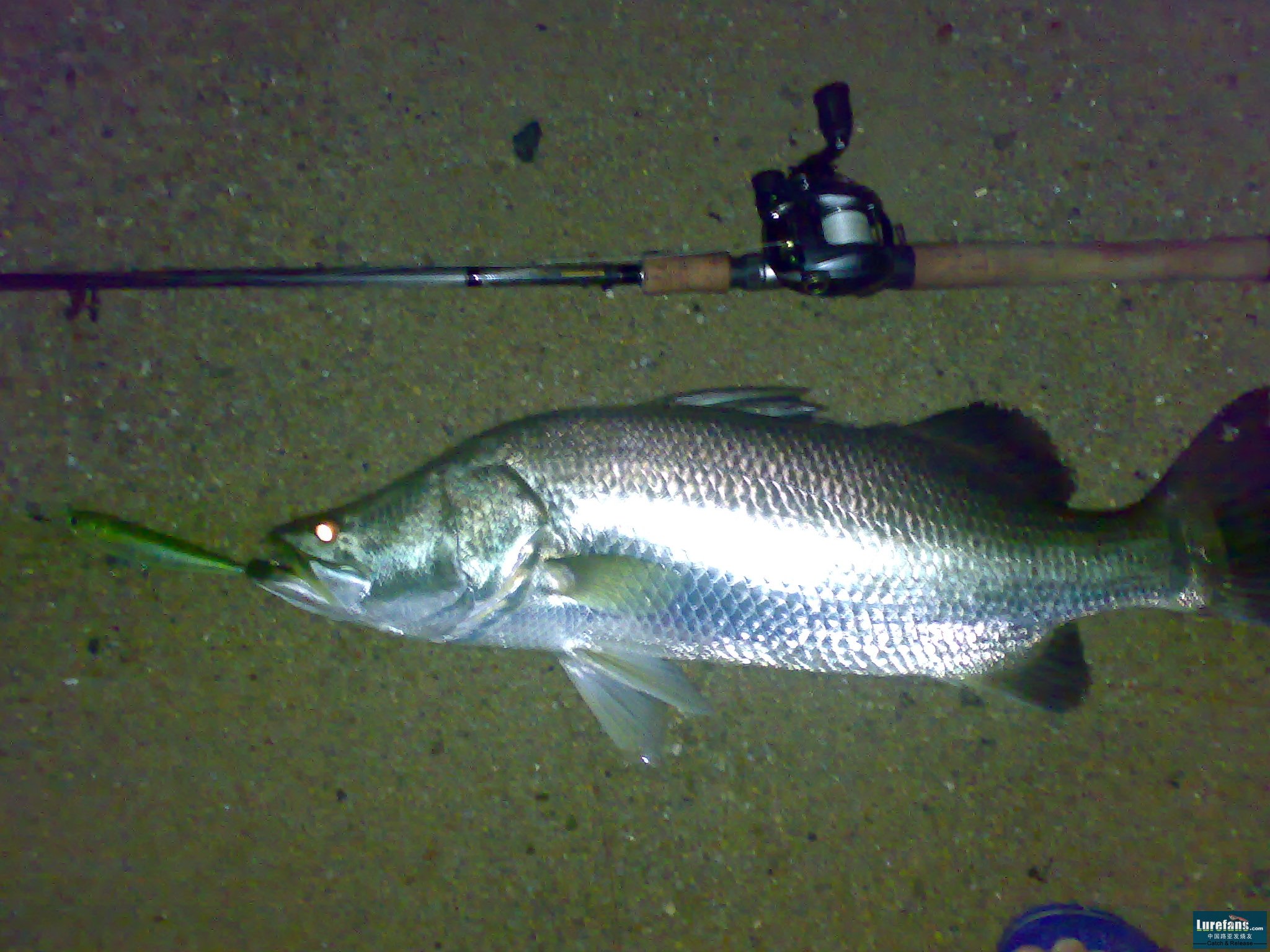 Fred 7lb on my rod n reel 1st cast - 3 sammy.jpg