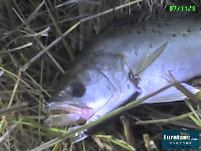 Ƭ_110307_002.jpg