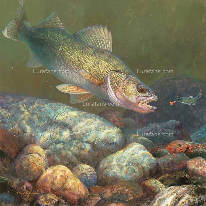 walleye-art-print.jpg