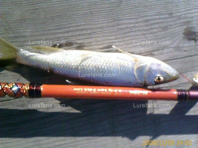 IMAGE_00022.jpg