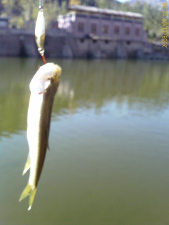 IMAGE_00006.jpg