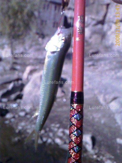 IMAGE_00016.jpg