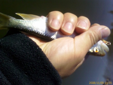 IMAGE_00008.jpg