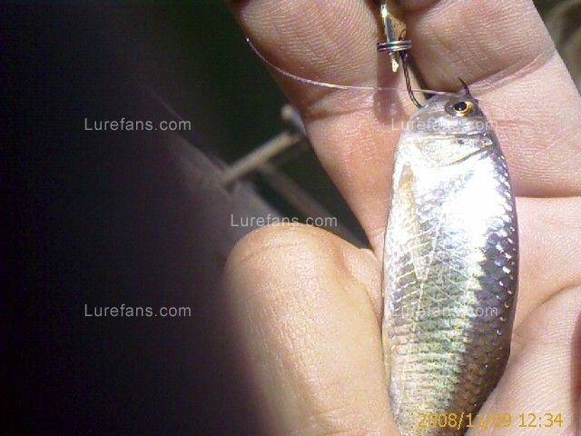 IMAGE_00011.jpg