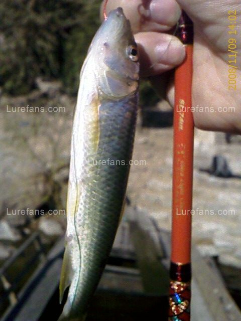 IMAGE_00020.jpg