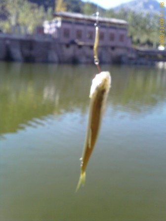 IMAGE_00005.jpg