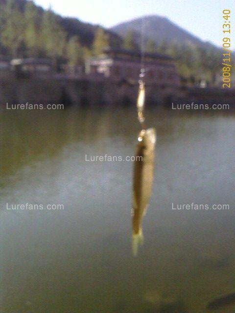 IMAGE_00013.jpg