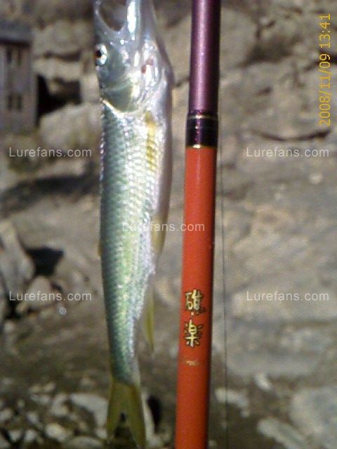 IMAGE_00015.jpg