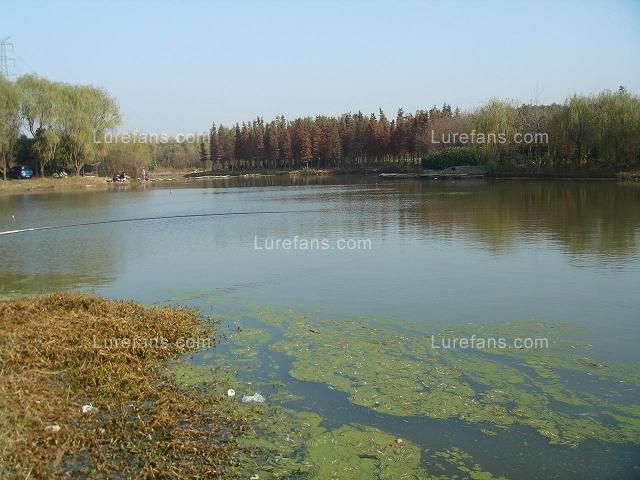 Lake1.JPG