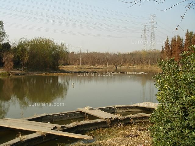 Lake6.JPG