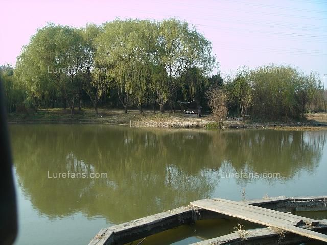 Lake5.JPG