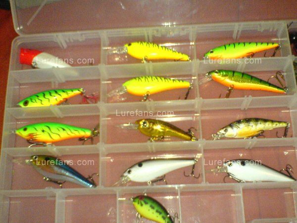 TOP WATER AND CRANK BAIT