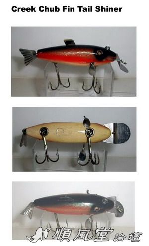 Creek Chub Fin Tail Shiner WR.jpg