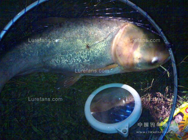 2007101200220860.jpg