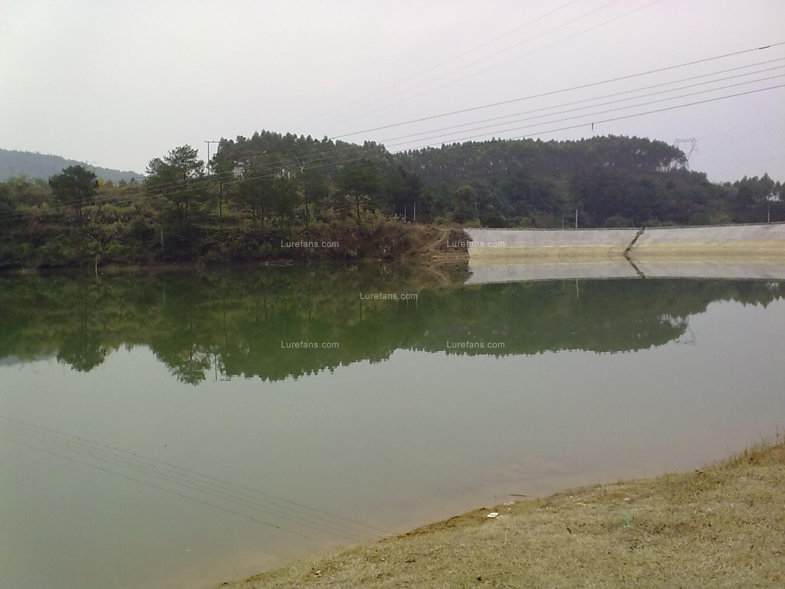 20110113895.jpg