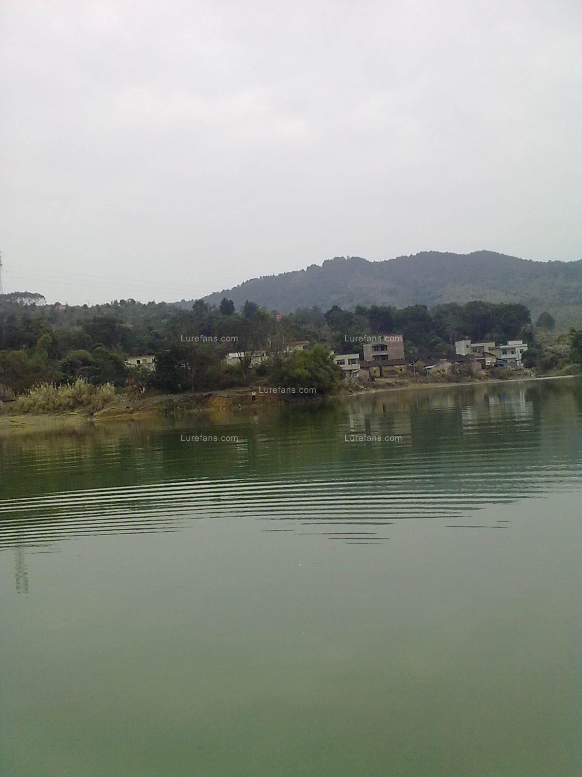 20110113908.jpg