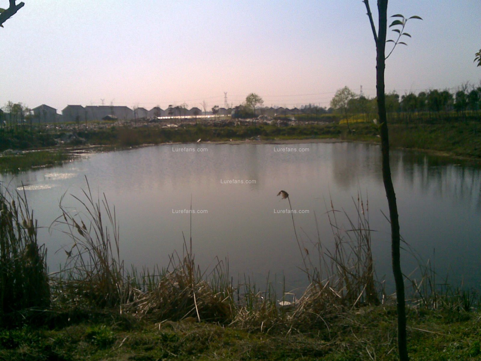 20110404.jpg