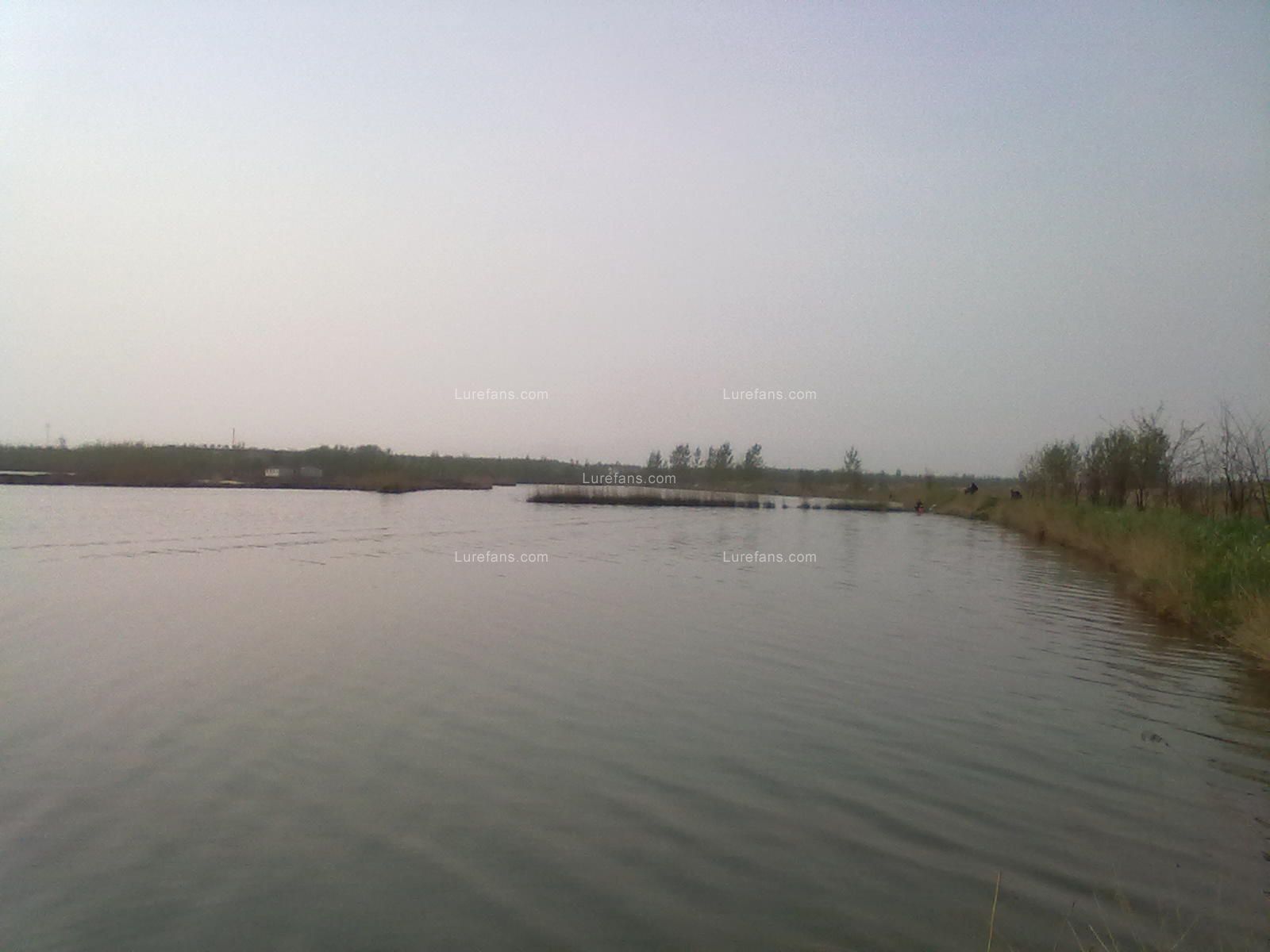 20110416026.jpg