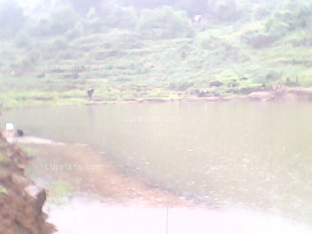 IMG0068A.jpg