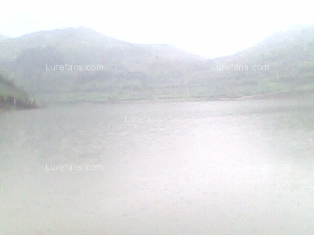 IMG0063A.jpg