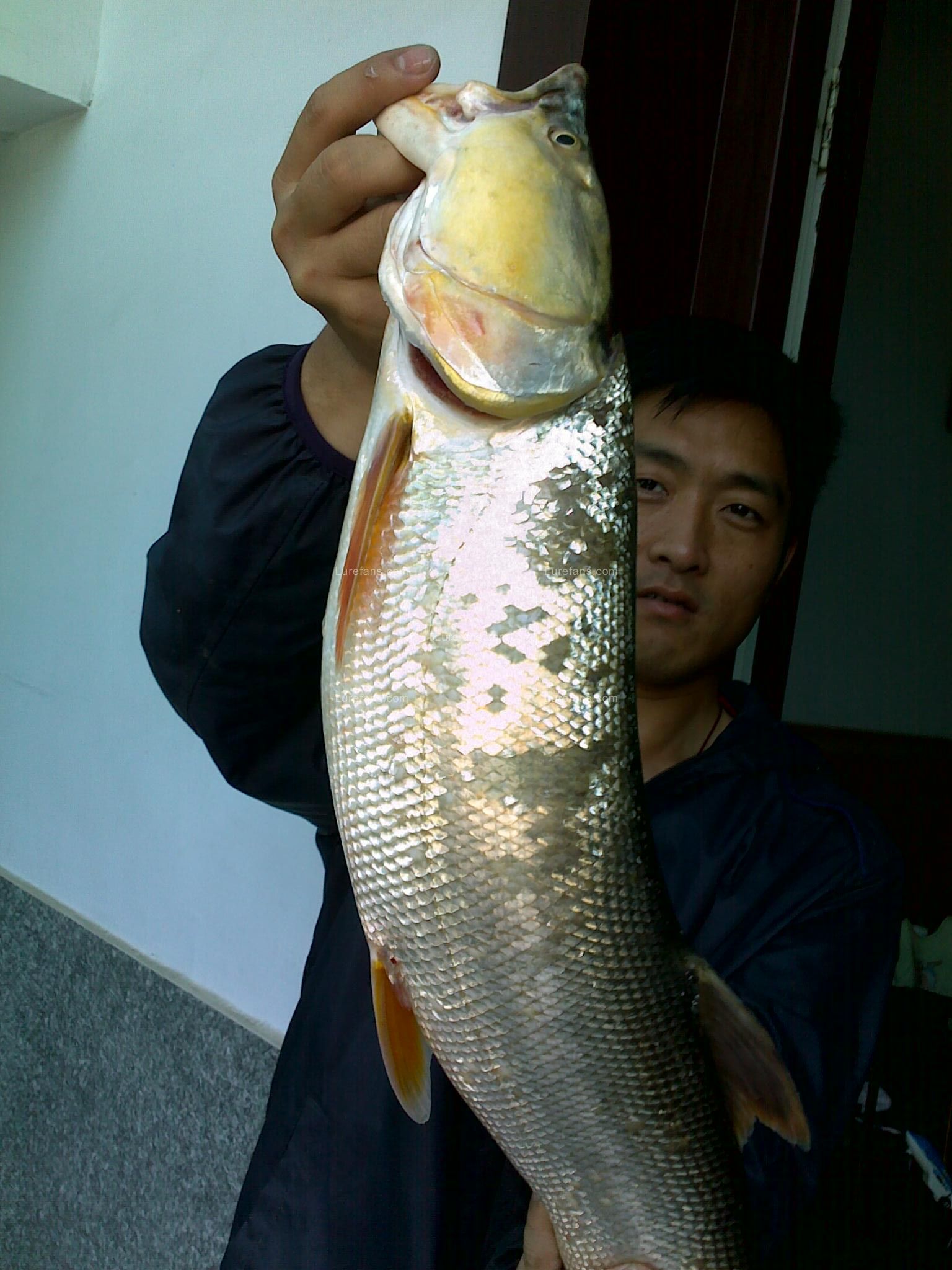 20110510337.jpg