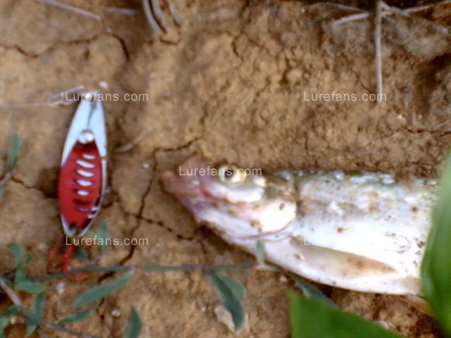 SUNP0026.JPG