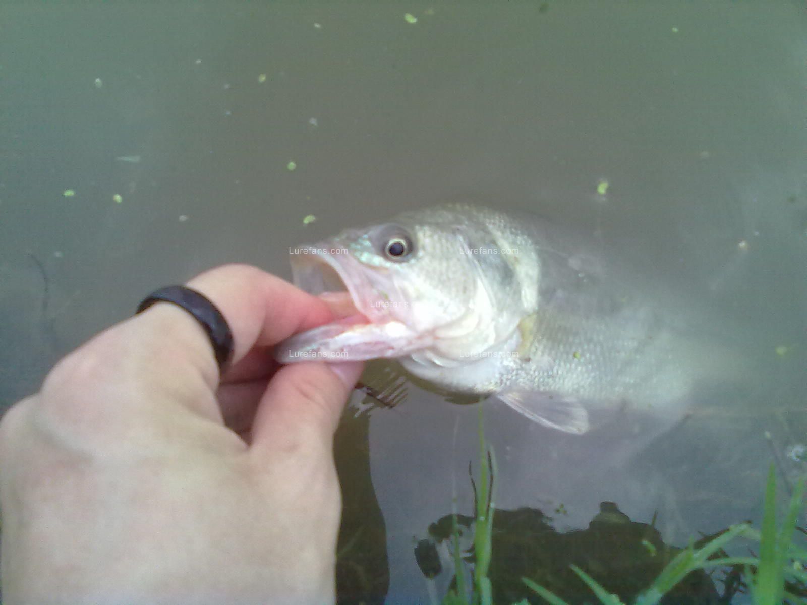 20110609938.jpg