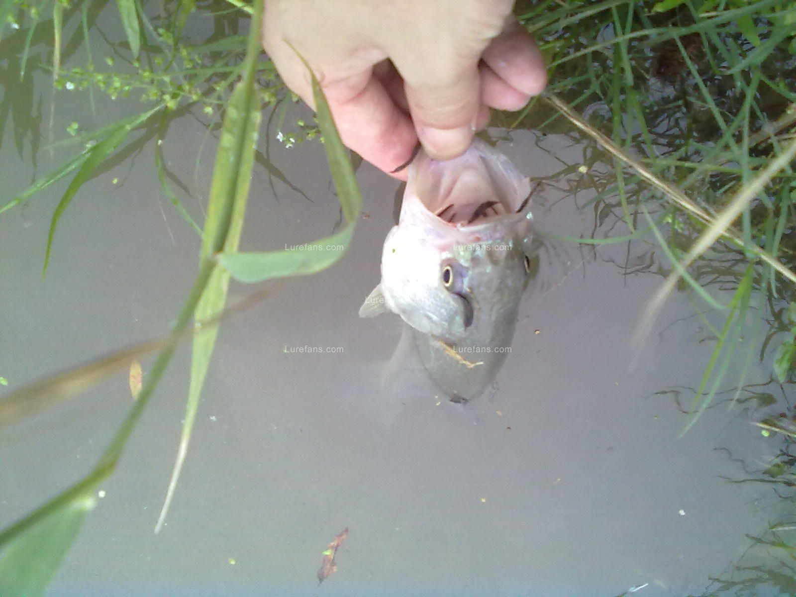 20110609946.jpg