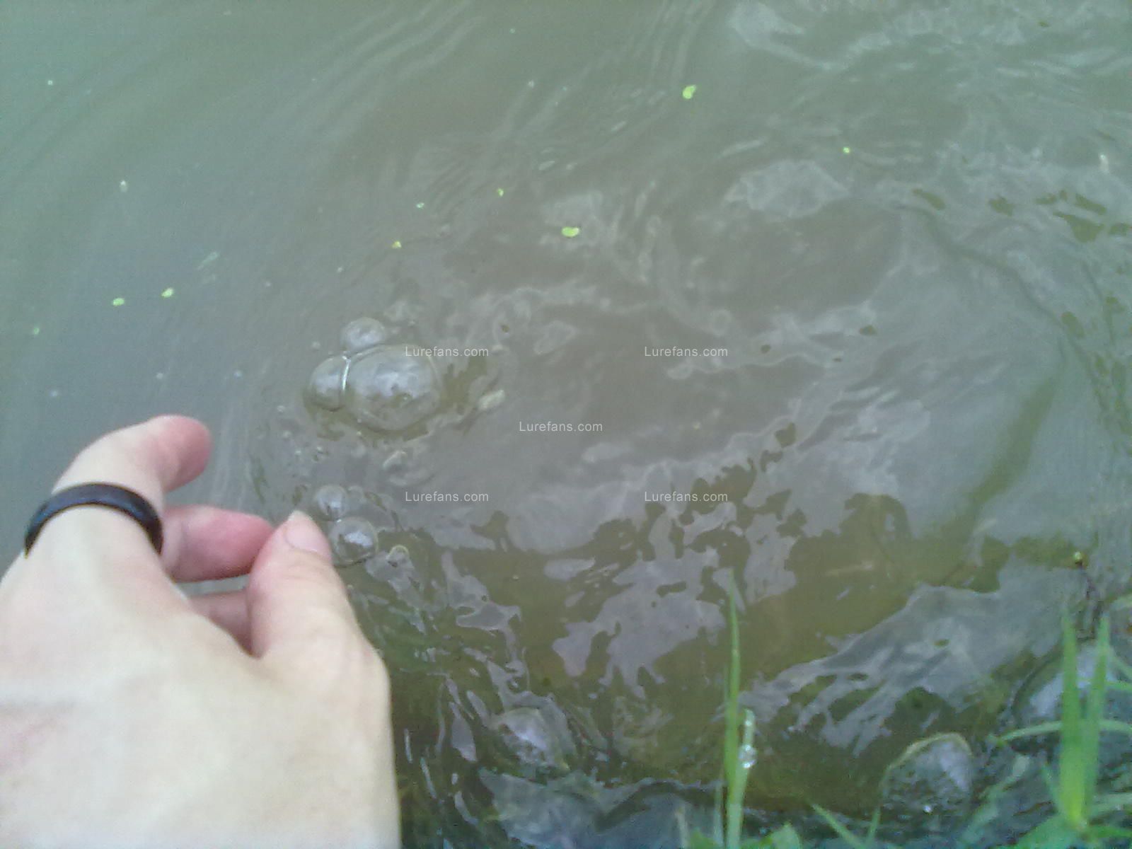 20110609939.jpg