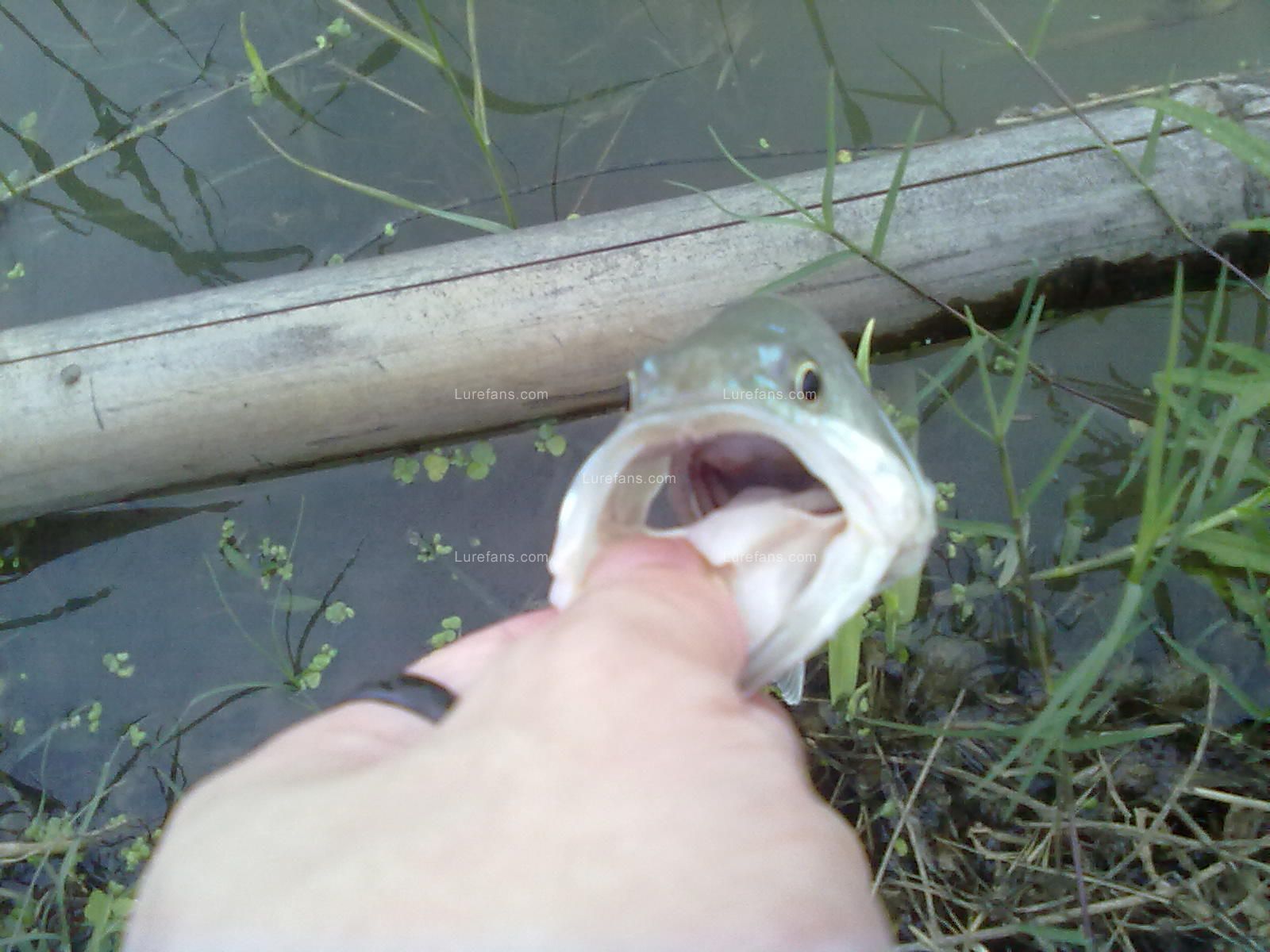 20110609940.jpg