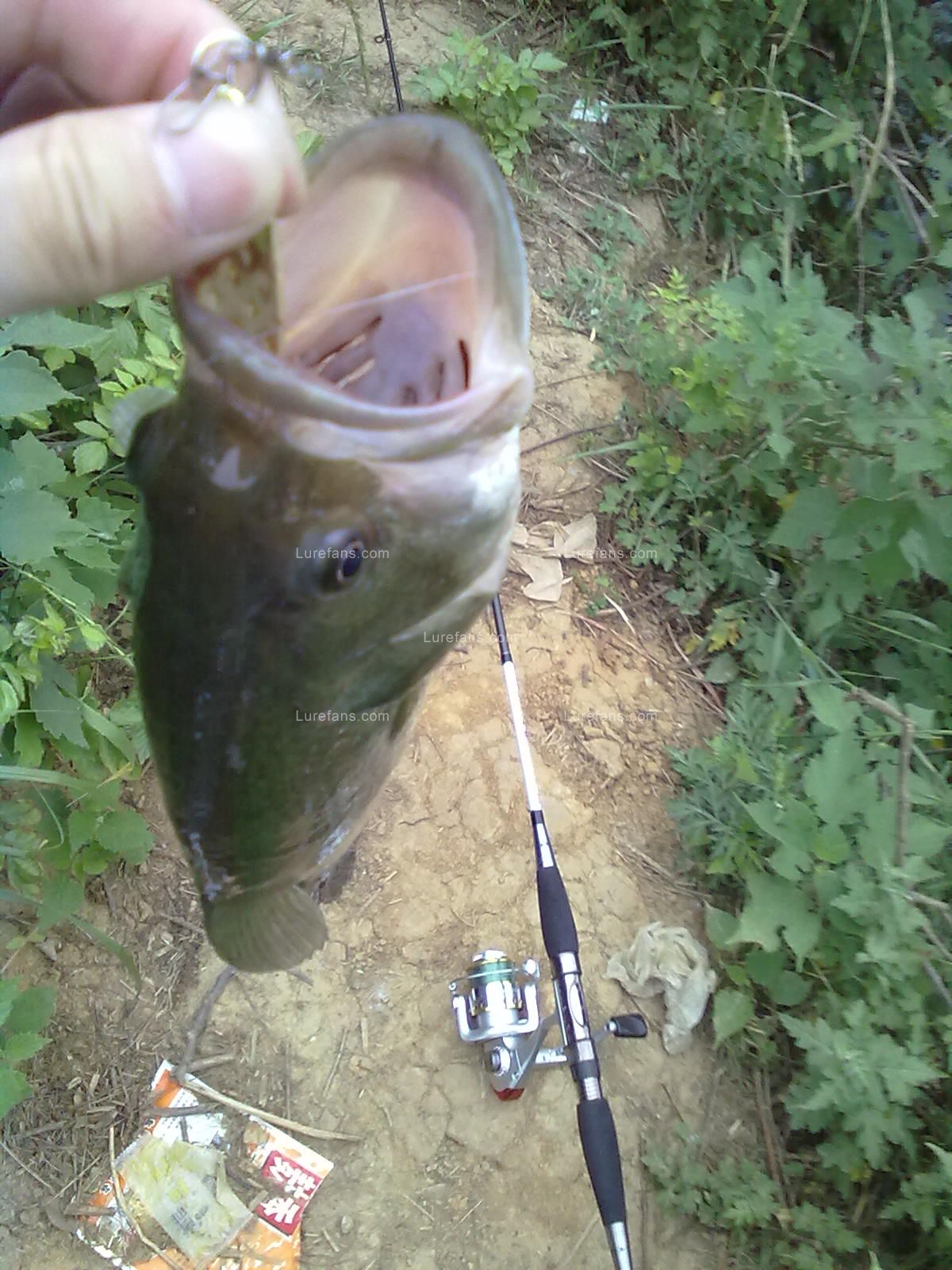 20110521791.jpg