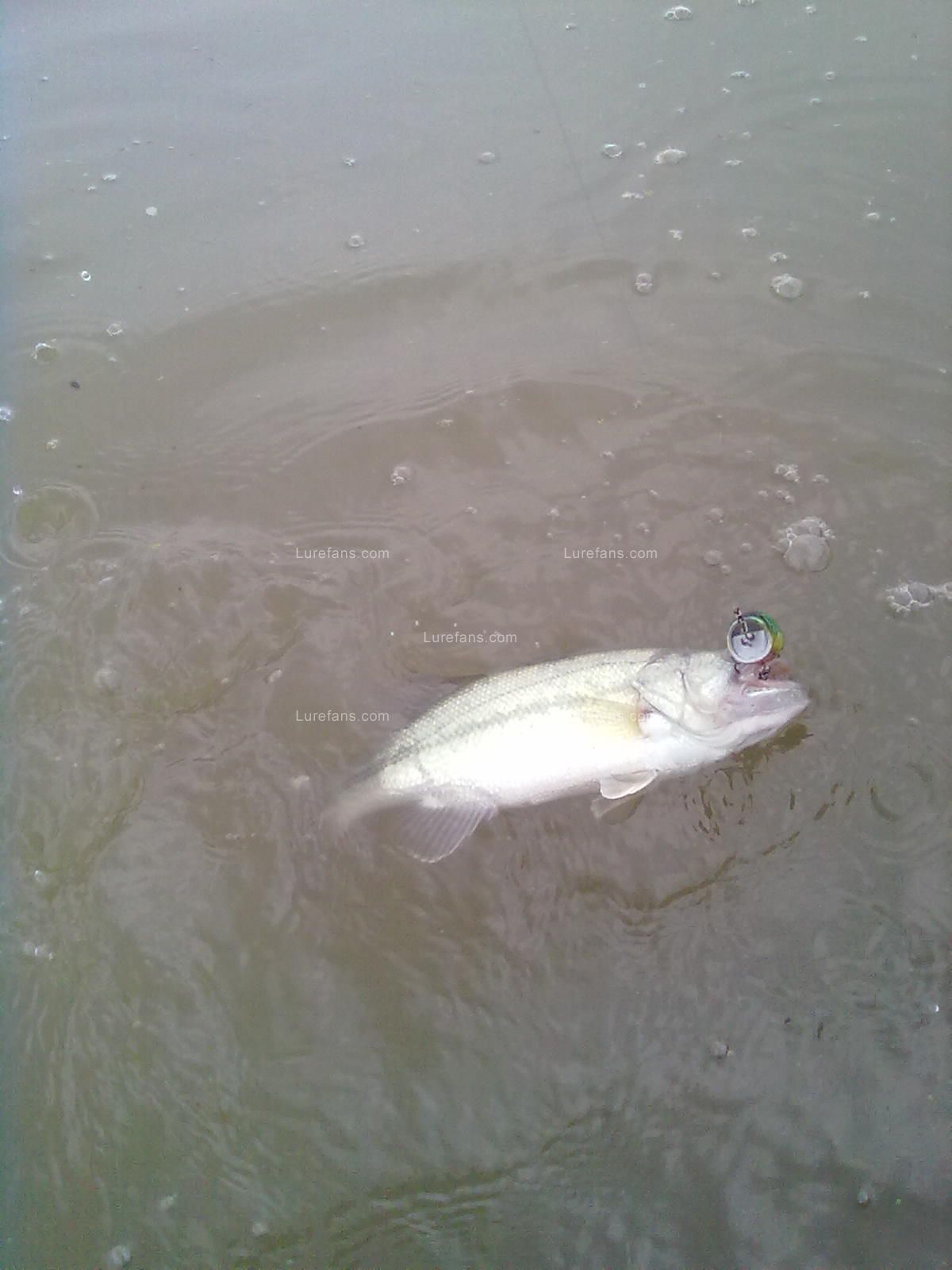 20110609935.jpg