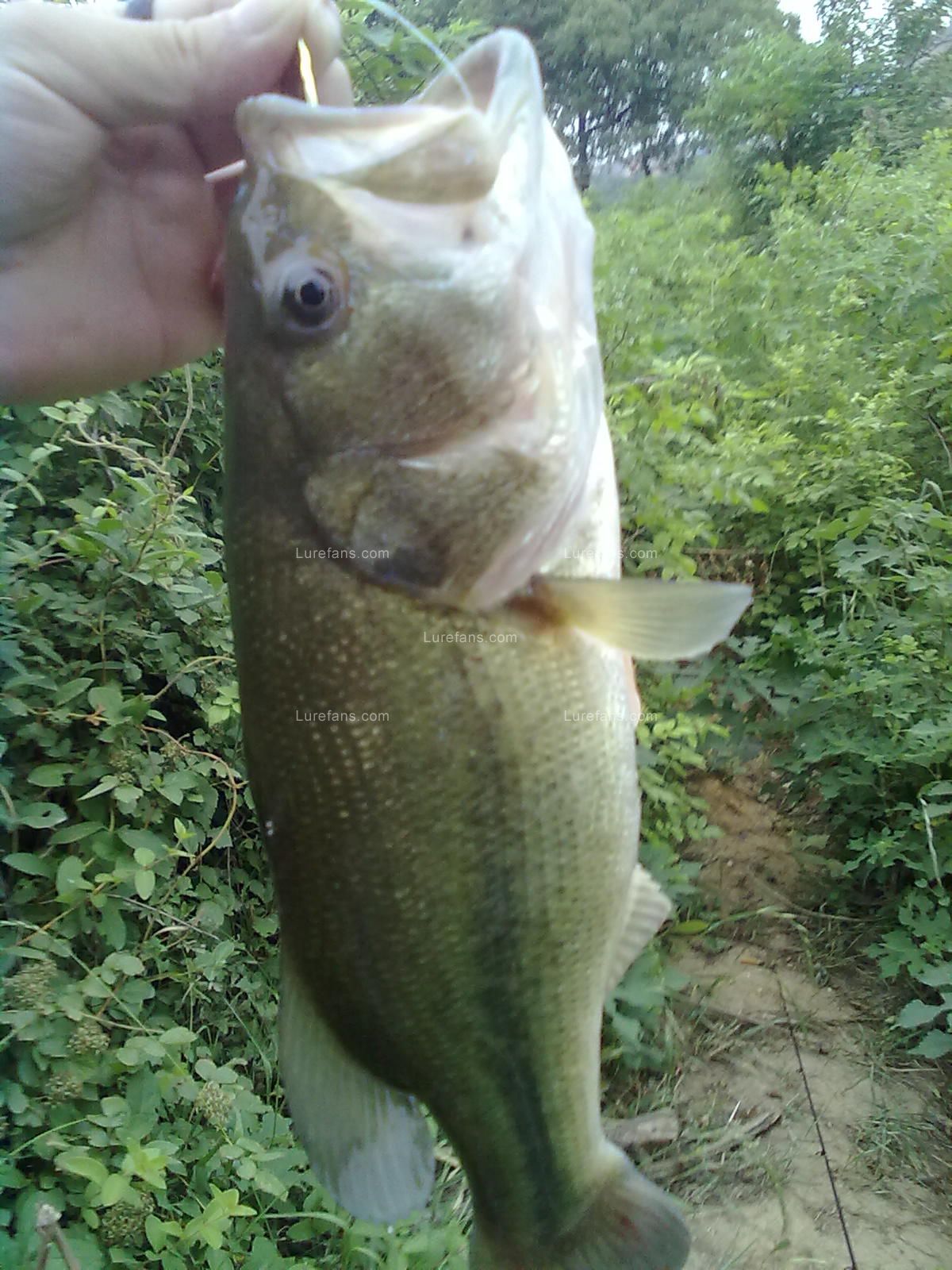 20110521798.jpg