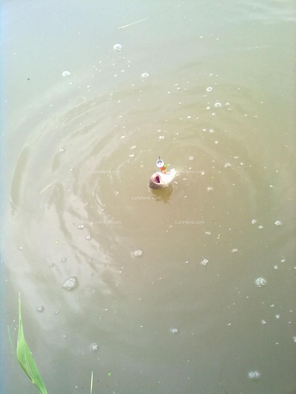 20110609942.jpg