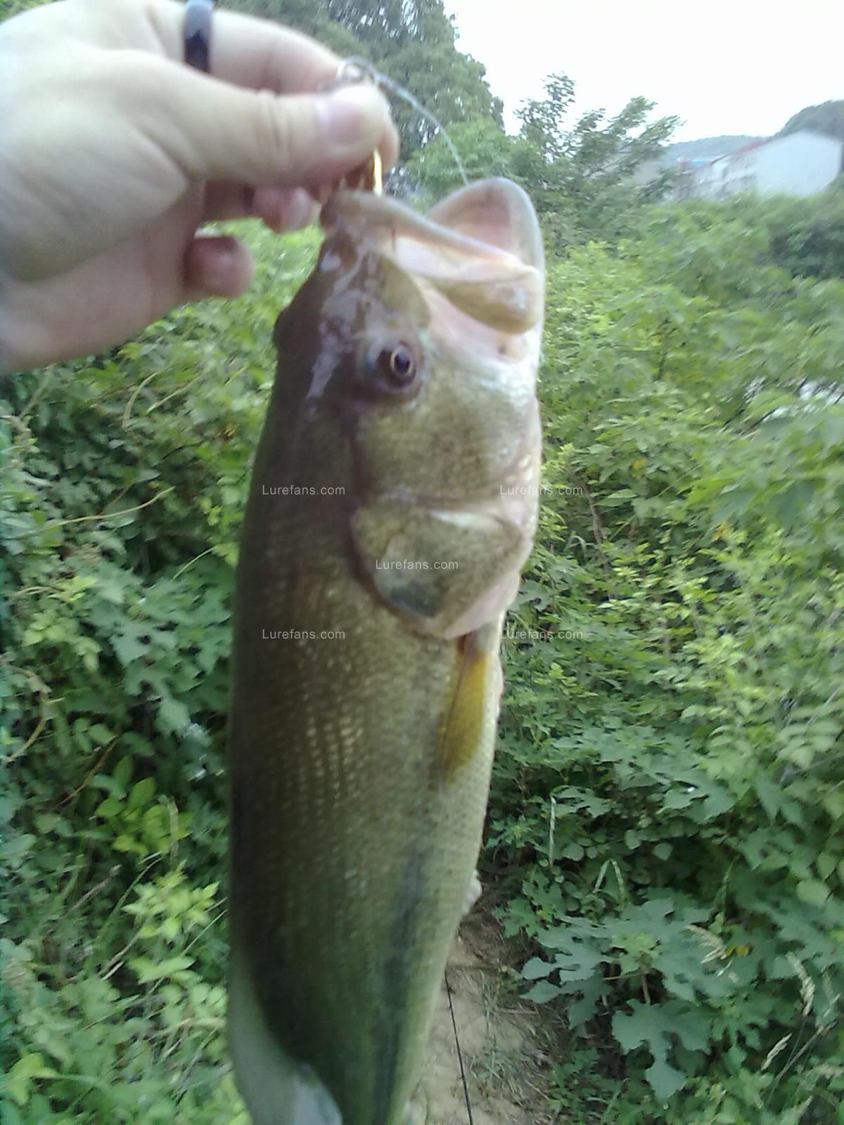 20110521792.jpg