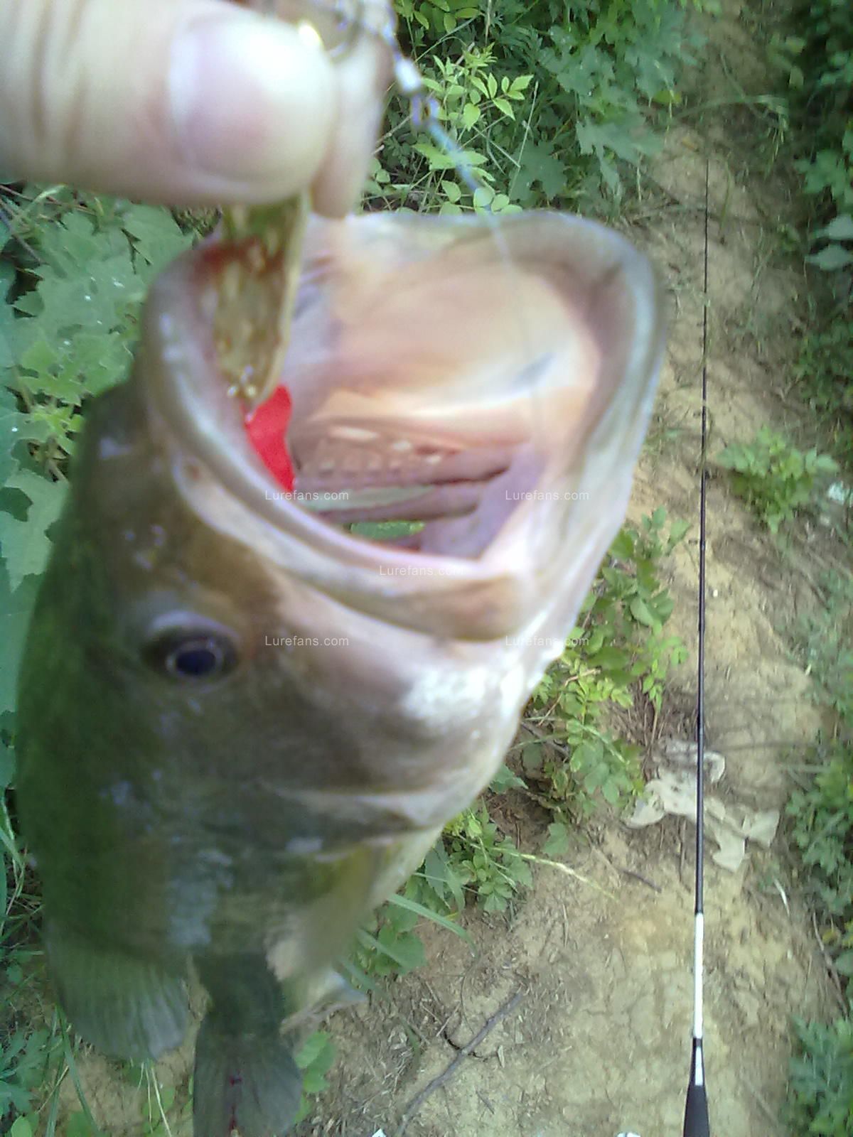 20110521797.jpg