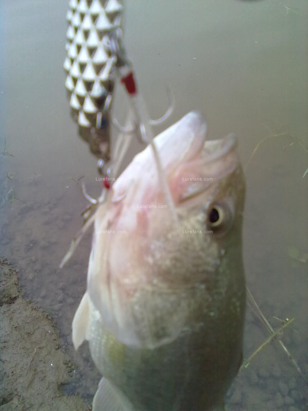 20110609959.jpg