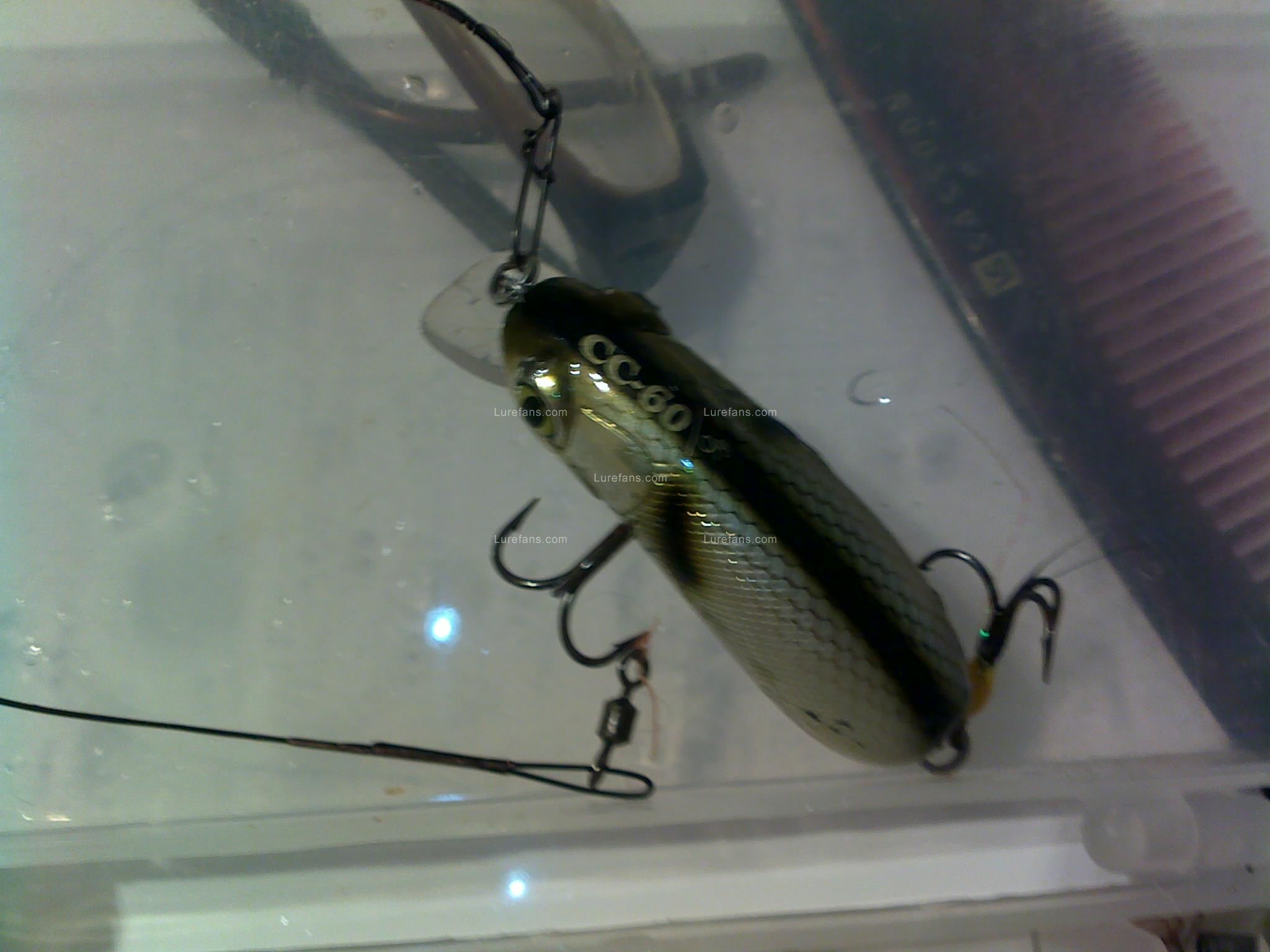 201107031246.jpg